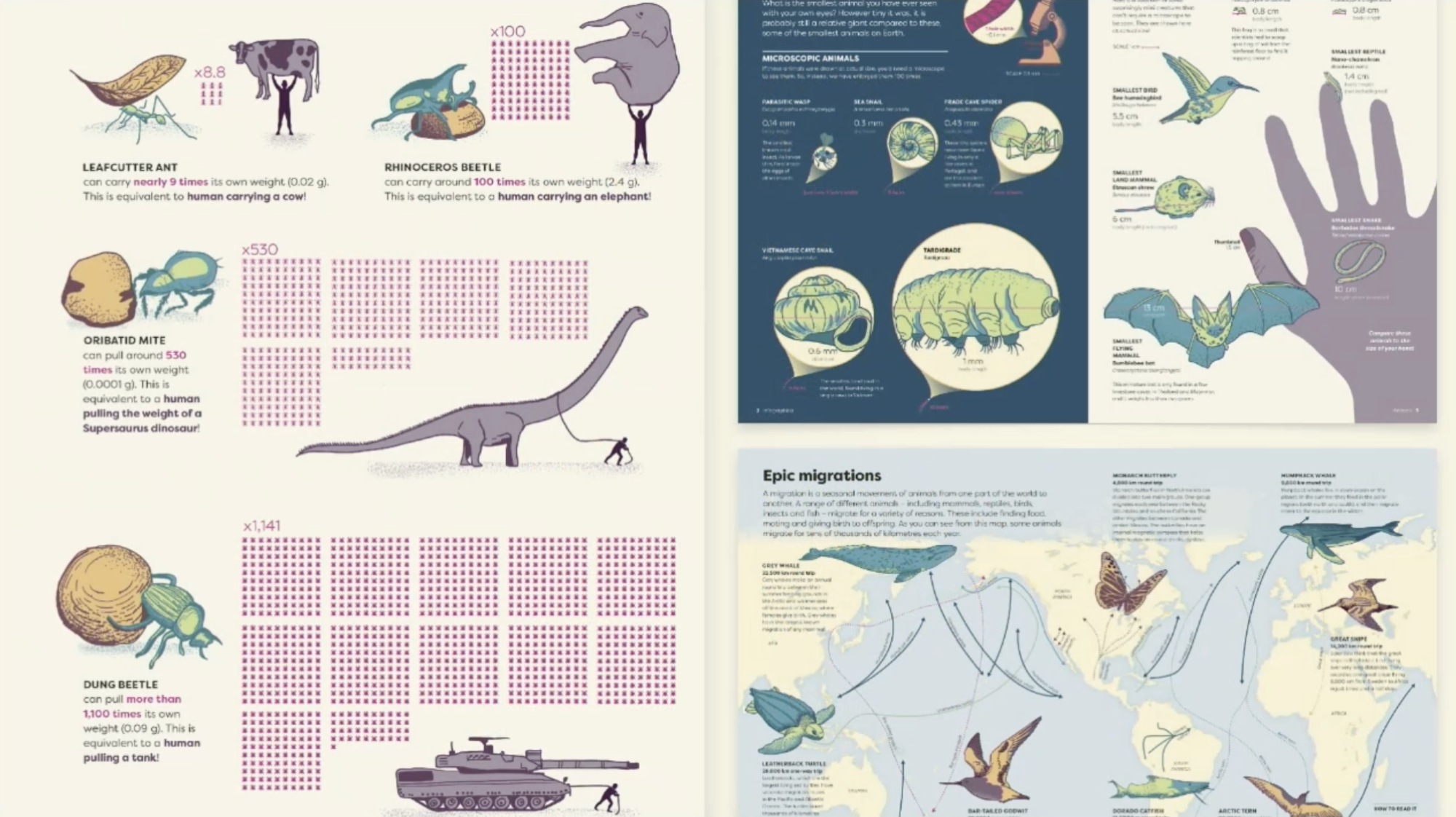 The Art and Craft of Visualizing Knowledge